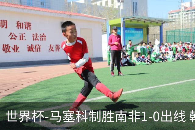 世界杯-马塞科制胜南非1-0出线 韩国积3分获小组第三待定