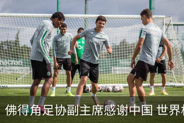 佛得角足协副主席感谢中国 世界杯后将安排与国足友谊赛
