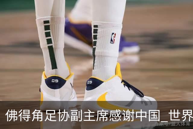 佛得角足协副主席感谢中国 世界杯后将安排与国足友谊赛