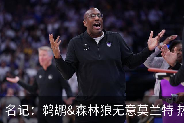名记：鹈鹕&森林狼无意莫兰特 热火也不急于尝试其与字母哥的搭档