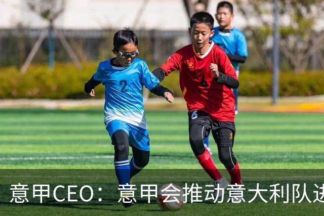 意甲CEO：意甲会推动意大利队进步 国家队低迷原因得追溯到20年前